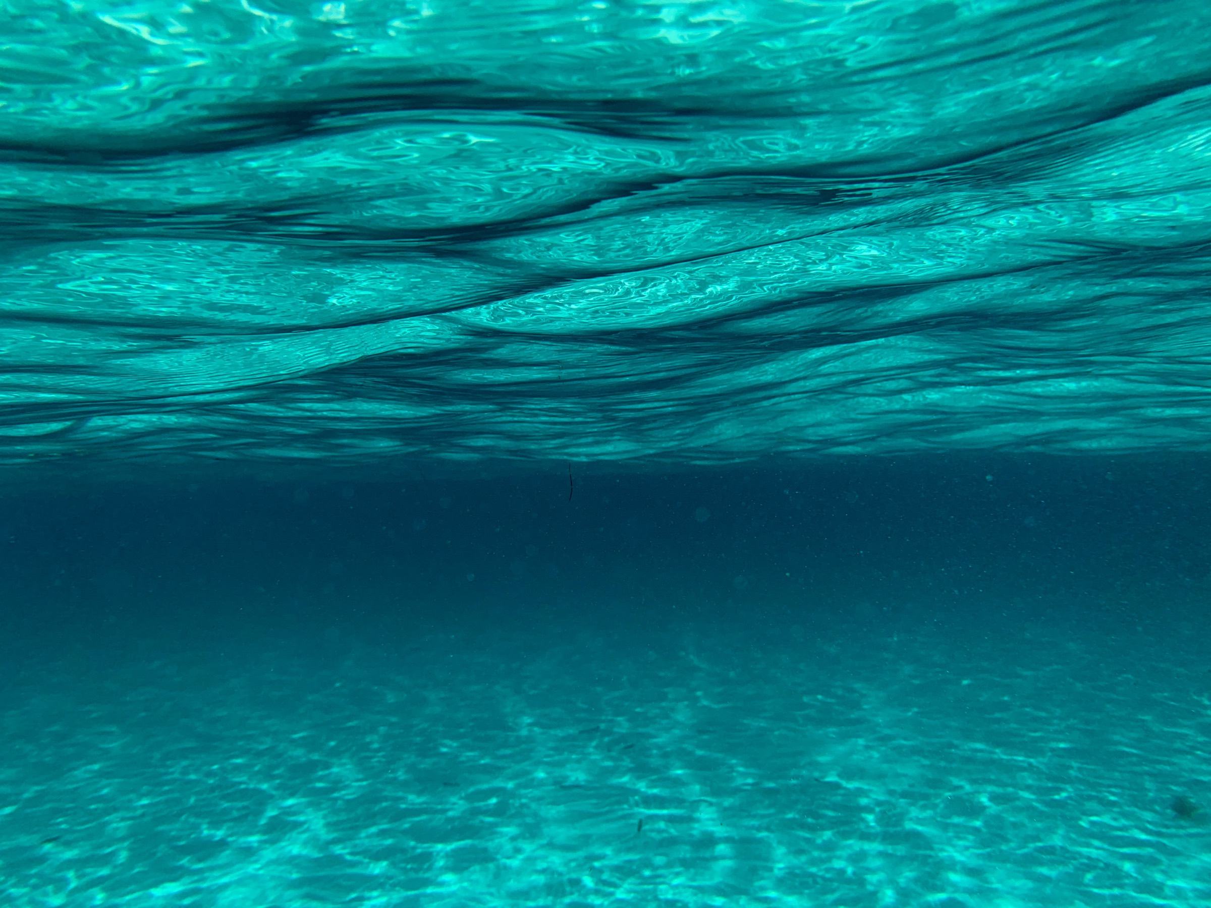 Sunlit water surface seen from below