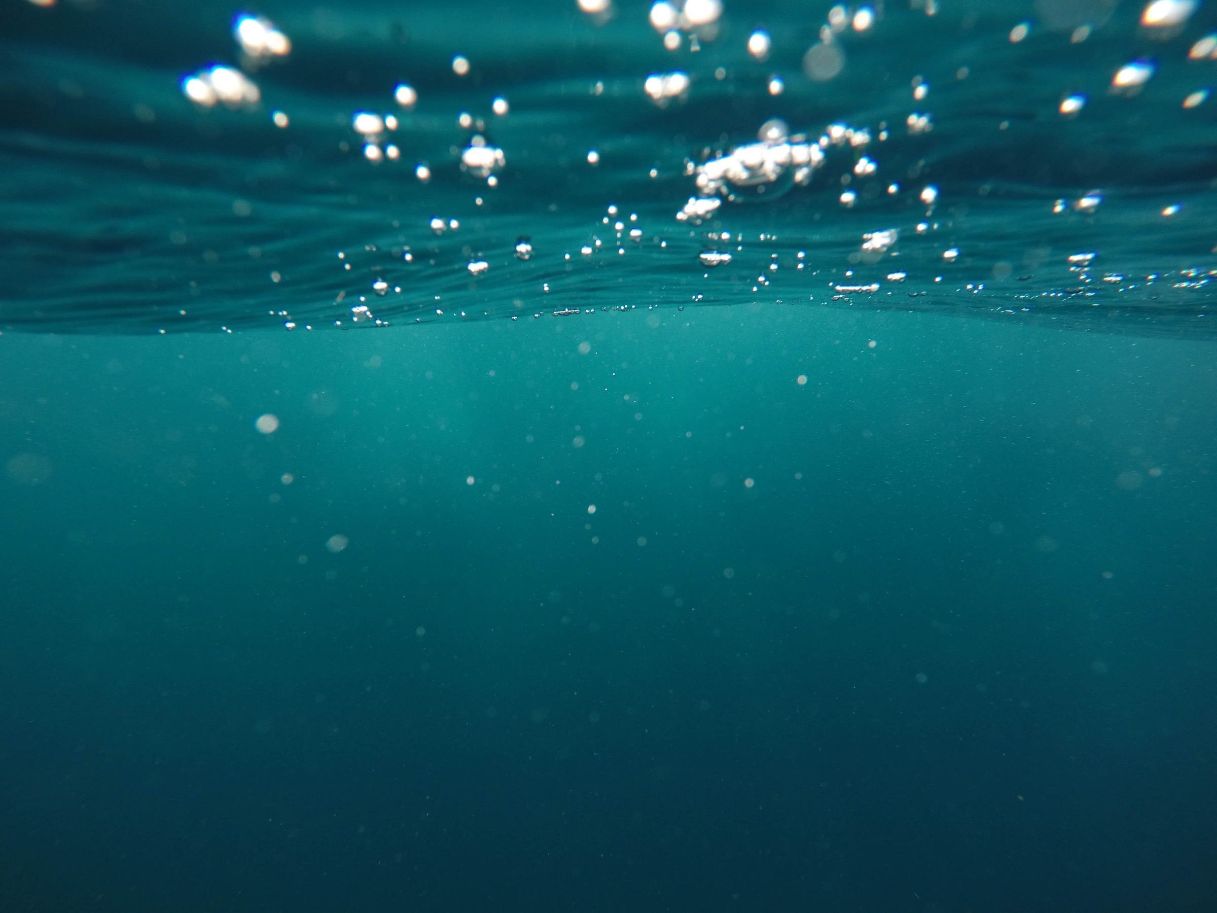 Looking up at the ocean surface from below